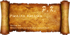 Pantits Katinka névjegykártya